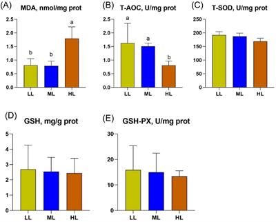 Effect of energy levels on liver oxidative state and gut microbiota of laying hens fed a low-protein diet